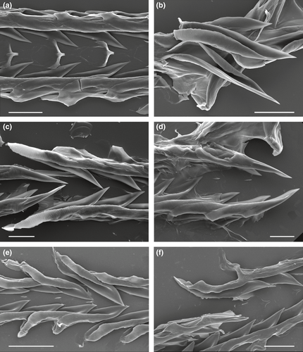 Details are in the caption following the image Details are in the caption following the image