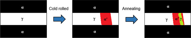 Strain-Induced Martensite and Reverse Transformation in 2304 Lean Duplex Stainless Steel and its Influence on Mechanical Behavior