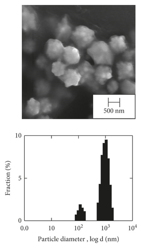 Details are in the caption following the image