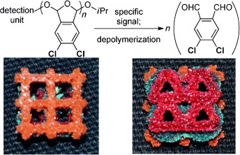 Self-Immolative Poly(4,5-dichlorophthalaldehyde) and its Applications in Multi-Stimuli-Responsive Macroscopic Plastics