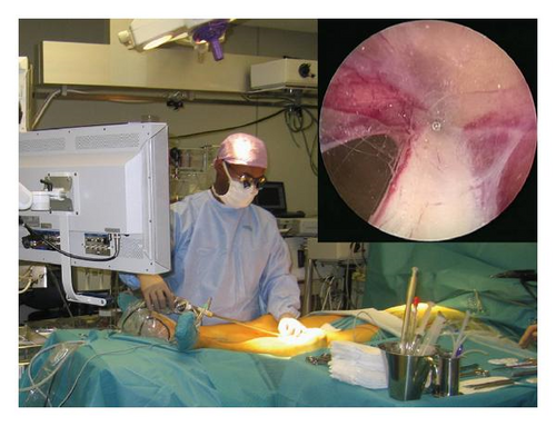 Details are in the caption following the image Details are in the caption following the image