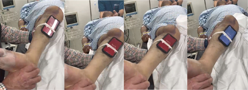 Details are in the caption following the image Details are in the caption following the image