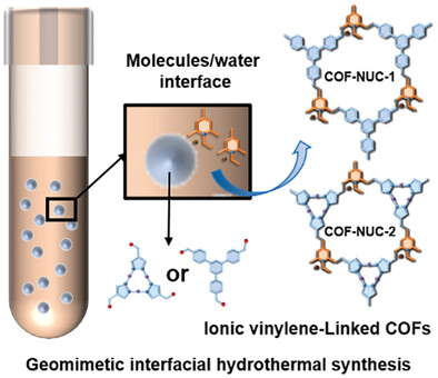 Geomimetic Interfacial Hydrothermal Synthesis of Crystalline Ionic Vinylene-Linked Covalent Organic Frameworks