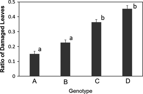 Plant–plant communication and community of herbivores on tall goldenrod