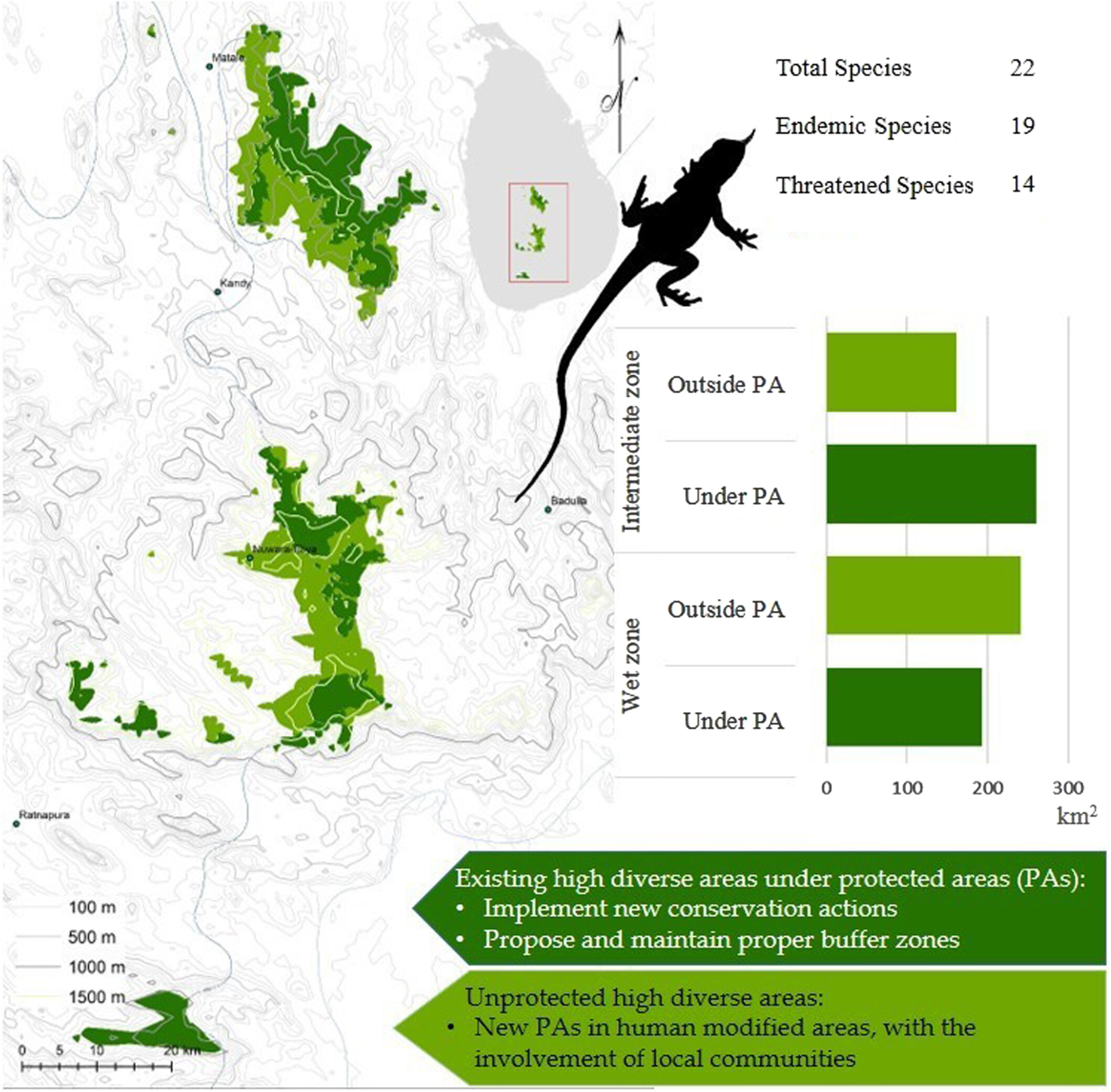 Identification of Priority Areas for Conservation of Threatened Agamid Lizards of Sri Lanka Using Species Distribution Modeling 斯里兰卡濒危蜥蜴 (鬣蜥科) 保护优先区域的识别:基于物种分布模型的研究