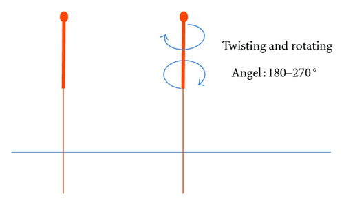 Details are in the caption following the image Details are in the caption following the image