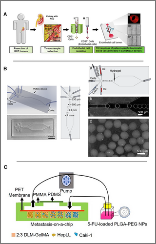 Details are in the caption following the image Details are in the caption following the image