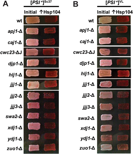 Details are in the caption following the image Details are in the caption following the image