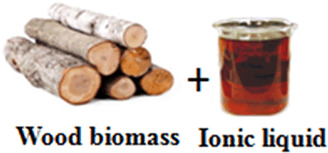 Dissolution and Separation of Wood Biopolymers Using Ionic Liquids