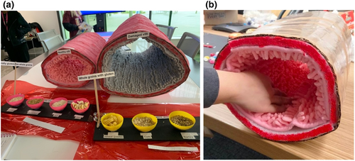 Details are in the caption following the image Details are in the caption following the image