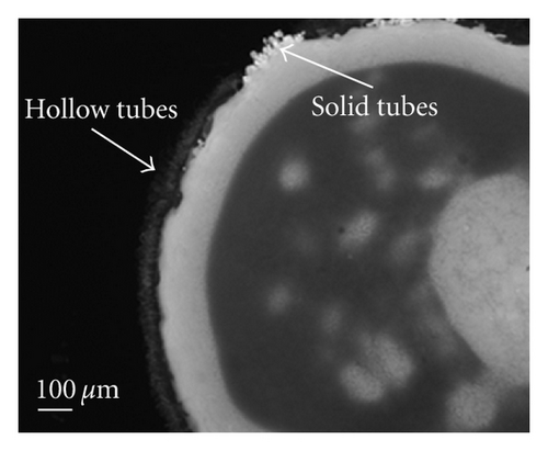 Details are in the caption following the image