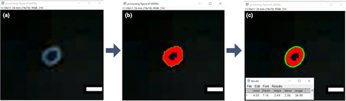 Details are in the caption following the image Details are in the caption following the image