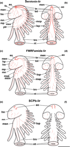 Details are in the caption following the image Details are in the caption following the image