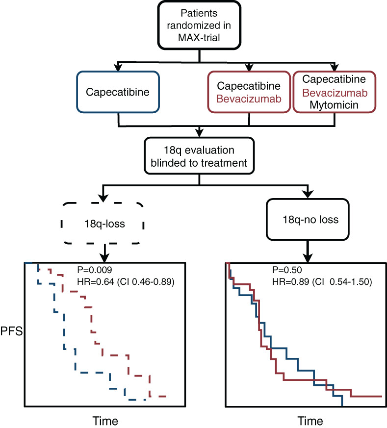 Predictive value of chromosome 18q11.2-q12.1 loss for benefit from bevacizumab in metastatic colorectal cancer: A post hoc analysis of the randomized phase III-trial AGITG-MAX