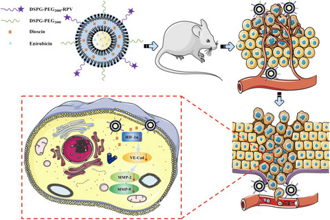 RPV-modified epirubicin and dioscin co-delivery liposomes suppress non-small cell lung cancer growth by limiting nutrition supply