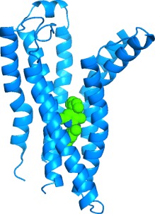 Structures of Class B G Protein-Coupled Receptors: Prospects for Drug Discovery