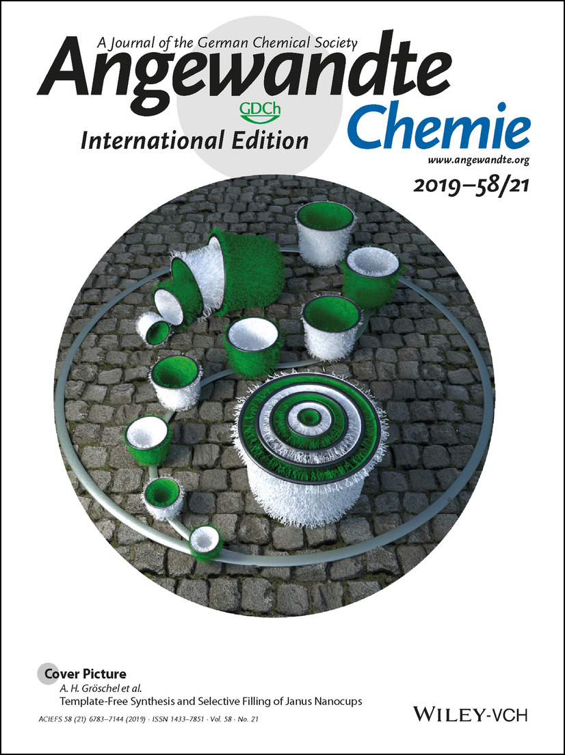 Cover Picture: Template-Free Synthesis and Selective Filling of Janus Nanocups (Angew. Chem. Int. Ed. 21/2019) Volume 58 Issue 21, 2019