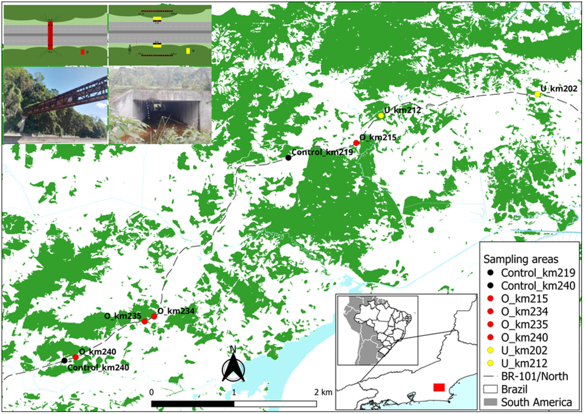 Mitigating Road Barrier Effects for Small Mammals: Evidence From Wildlife Passages in the Brazilian Atlantic Forest
