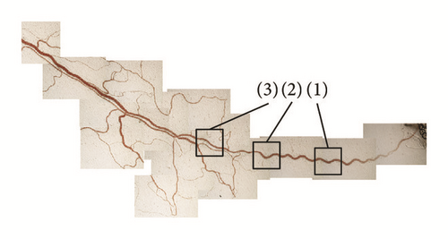 Details are in the caption following the image Details are in the caption following the image
