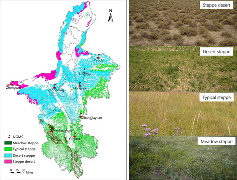 Asymmetric response of different functional insect groups to low-grazing pressure in Eurasian steppe in Ningxia