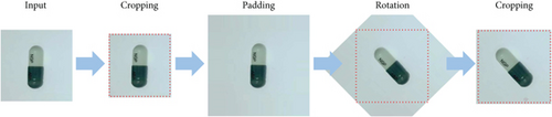 Details are in the caption following the image Details are in the caption following the image