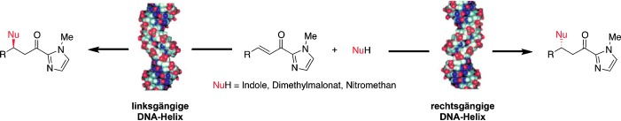 DNA vs. Mirror-Image DNA: A Universal Approach to Tune the Absolute Configuration in DNA-Based Asymmetric Catalysis