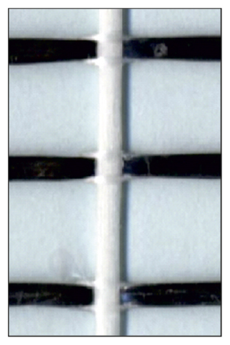 Details are in the caption following the image