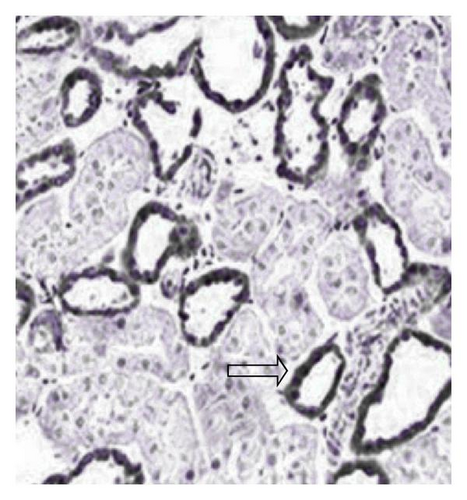 Details are in the caption following the image