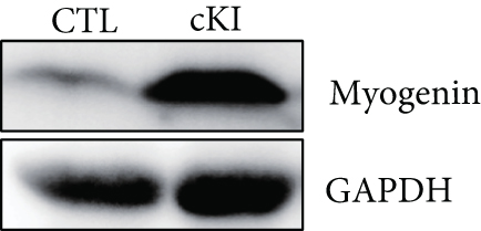 Details are in the caption following the image