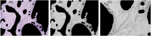 Details are in the caption following the image