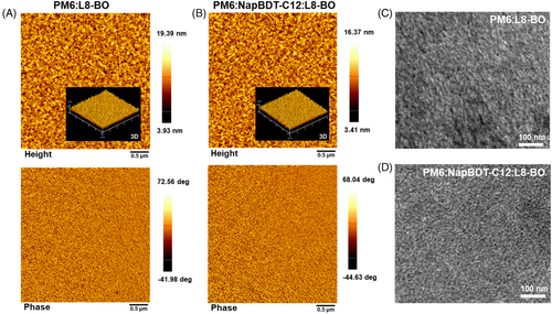 Details are in the caption following the image Details are in the caption following the image