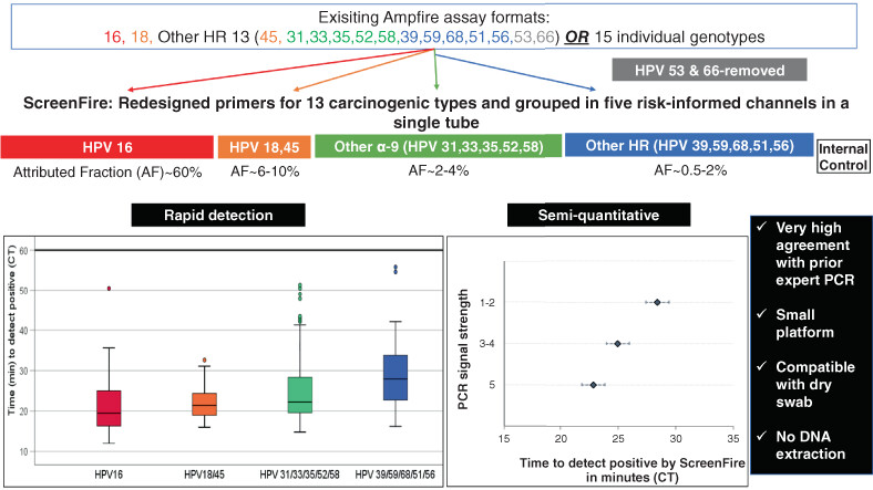Redesign of a rapid, low-cost HPV typing assay to support risk-based cervical screening and management