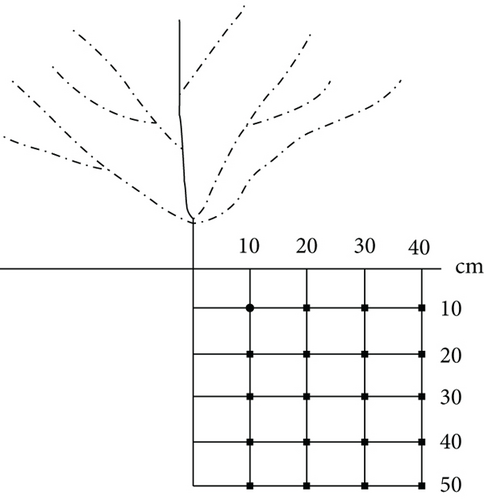 Details are in the caption following the image Details are in the caption following the image