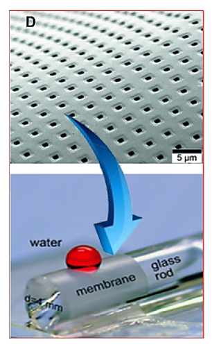 Details are in the caption following the image