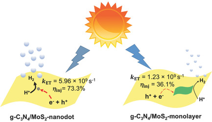 Faster Electron Injection and More Active Sites for Efficient Photocatalytic H2 Evolution in g-C3N4/MoS2 Hybrid