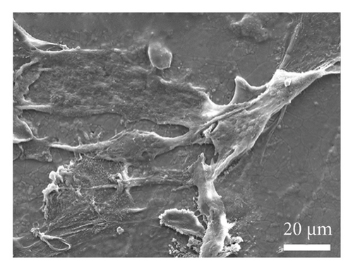 Details are in the caption following the image