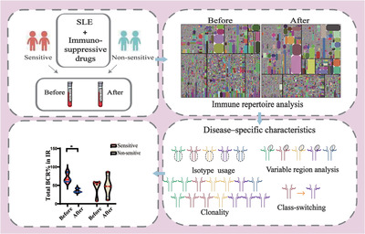 Systemic lupus erythematosus patients contain B-cell receptor repertoires sensitive to immunosuppressive drugs