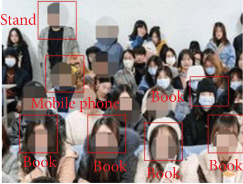 Details are in the caption following the image Details are in the caption following the image