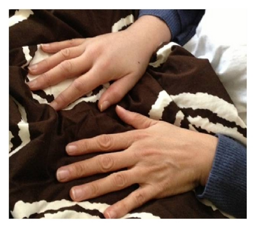 Details are in the caption following the image Details are in the caption following the image