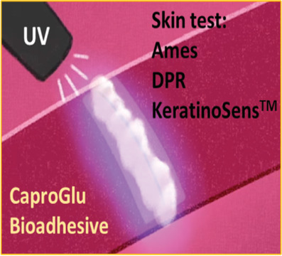 In Vitro Biocompatibility of Diazirine-Grafted Biomaterials