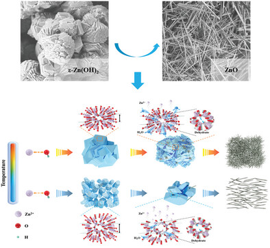 Synthesis and Mechanism of 1D ZnO Based on Alkaline Dissolution-Conversion Strategy of High Stable and Soluble ɛ-Zn(OH)2