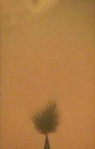 Details are in the caption following the image