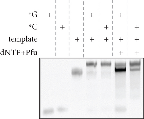 Details are in the caption following the image