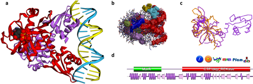 Details are in the caption following the image Details are in the caption following the image