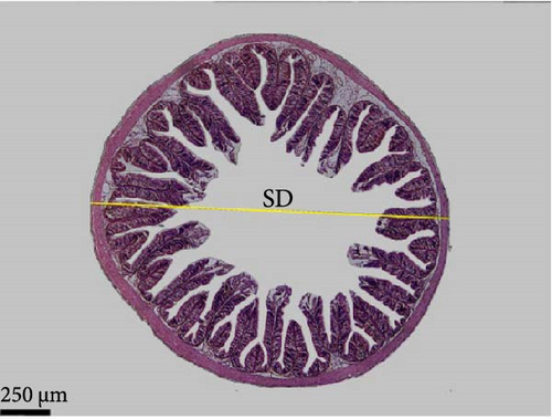 Details are in the caption following the image Details are in the caption following the image
