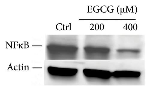 Details are in the caption following the image