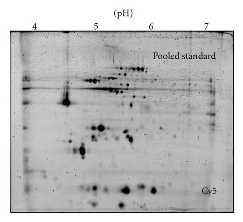 Details are in the caption following the image