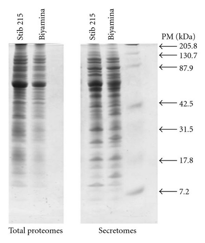 Details are in the caption following the image
