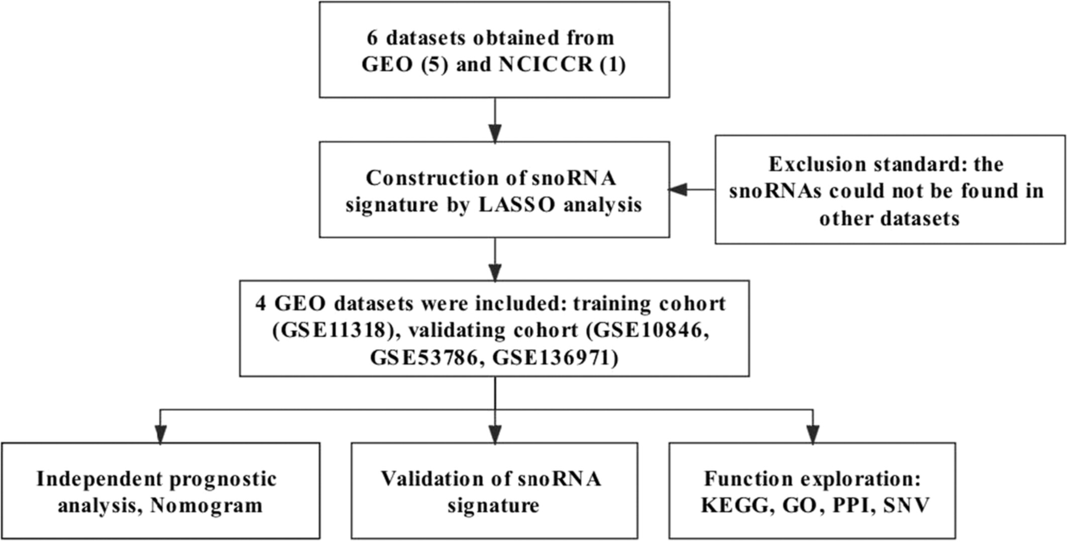 Identification of three small nucleolar RNAs (snoRNAs) as potential prognostic markers in diffuse large B-cell lymphoma