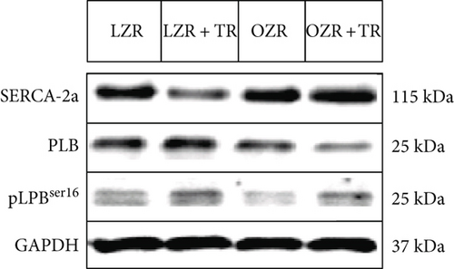 Details are in the caption following the image